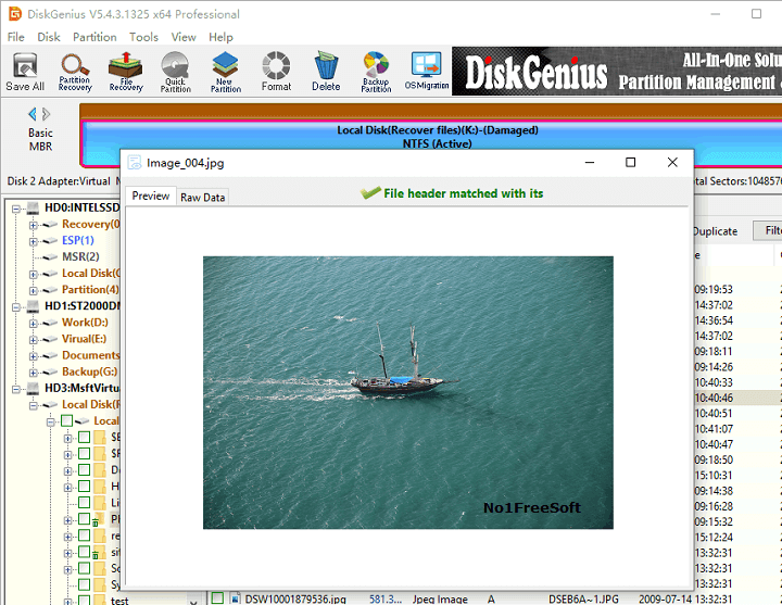 DiskGenius Professional 5 Free Download