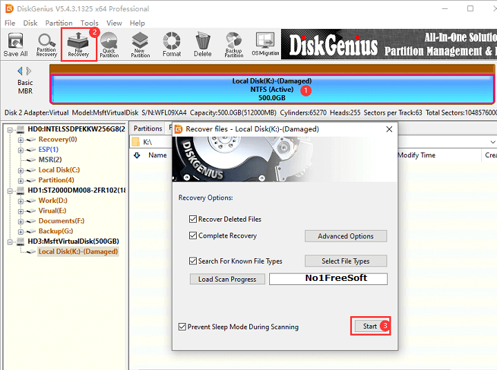 DiskGenius Professional 5 One Click Download Link