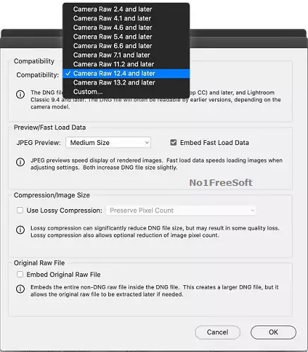 Adobe DNG Converter 14 Free Download