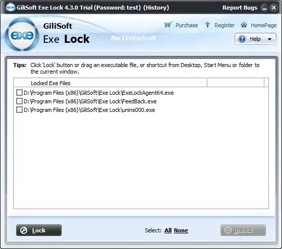 GiliSoft Exe Lock 10 Free Download