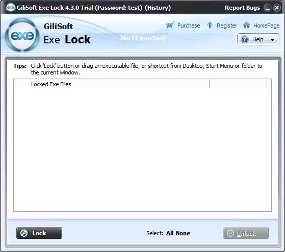 GiliSoft Exe Lock 10 Free Download